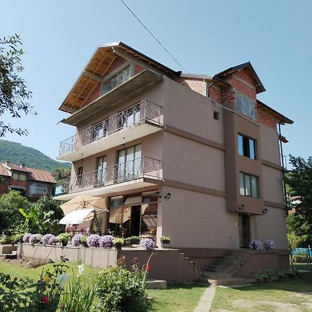 Guest House Dimitrije Niska Banja Exterior photo