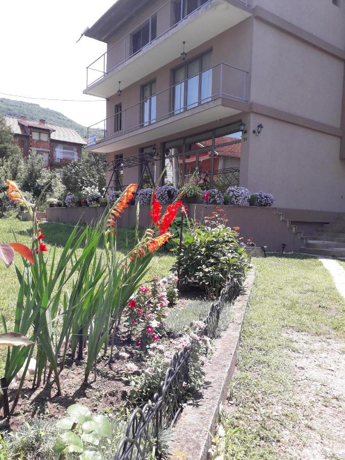 Guest House Dimitrije Niska Banja Exterior photo