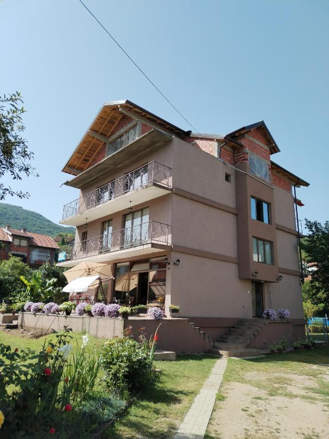 Guest House Dimitrije Niska Banja Exterior photo